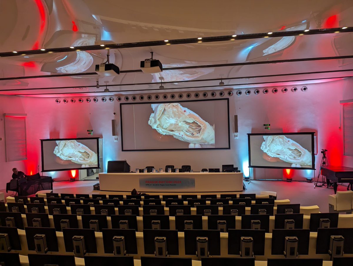 👉 don’t miss 26th #PragueRhythm🫀at 10:15 21.04.24 proud to deliver live-demonstration #anatomy correlations with #EP, new #abaltion #PFA, #LBBAP 👍👉For watching program on live #stream use this link prague-rhythm.cz/live-stream-20… email: maxdidenko@gmail.com password: QR0JGBYW