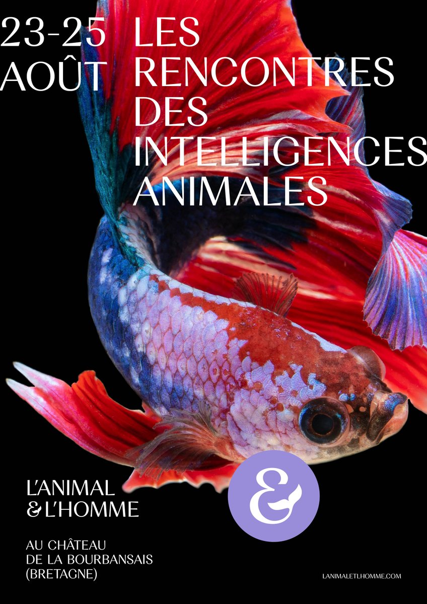 programme à venir...