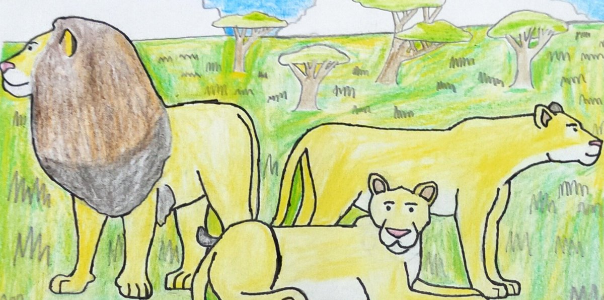 torm28's tweet photo. A trio of African Lions of Africa
#Drawanimals #animals #Wildlife #Bigcats #Lion #Mammals https://t.co/C86yYmUATu