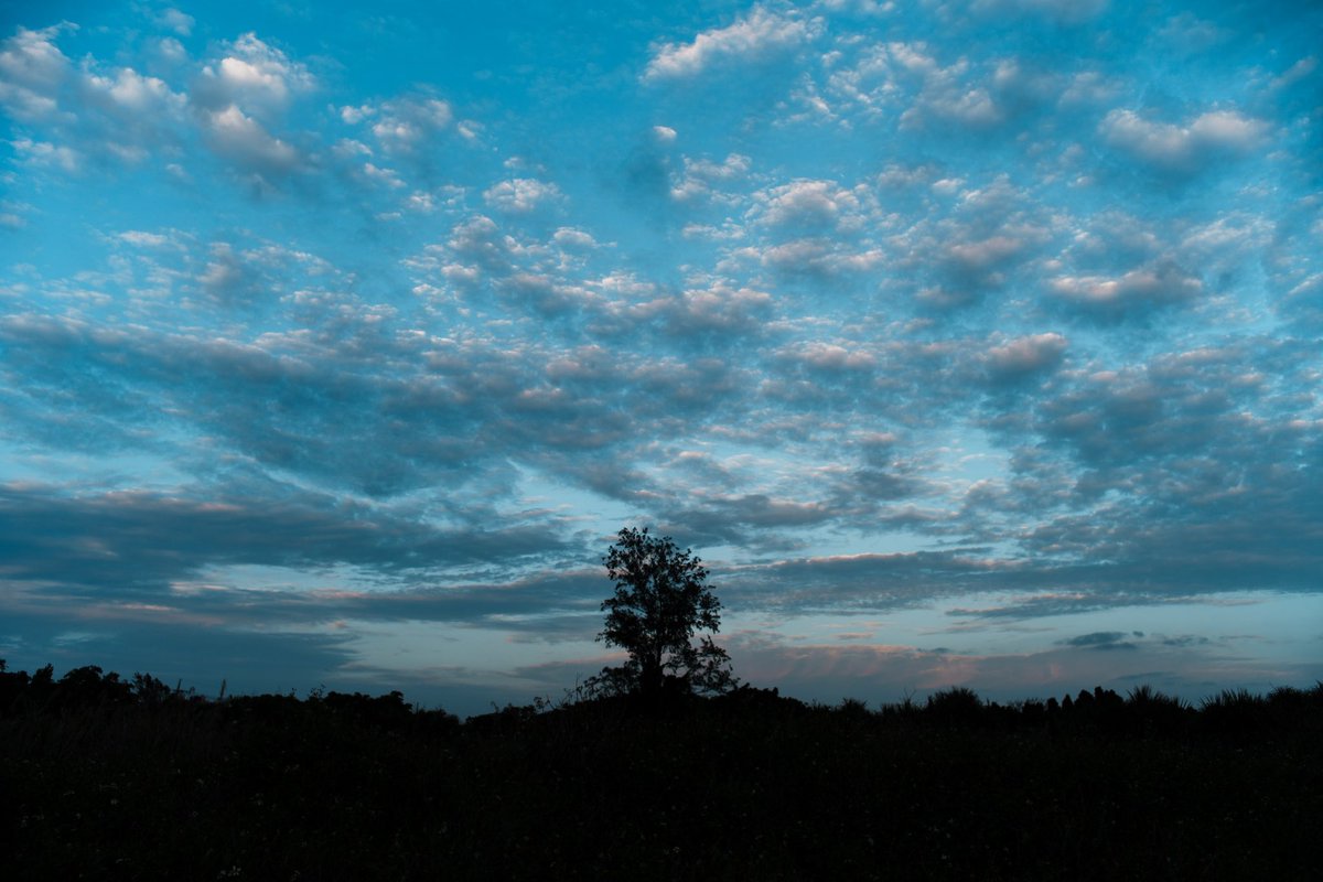 ualuni_jp's tweet photo. twilight sky🩵 https://t.co/sSQ9HqRyte