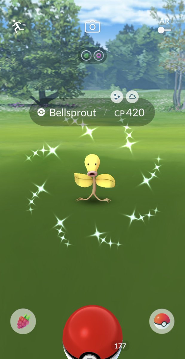 420 CP sparkles on 420!!! It's 420ception 😜

..ok I'll leave lol