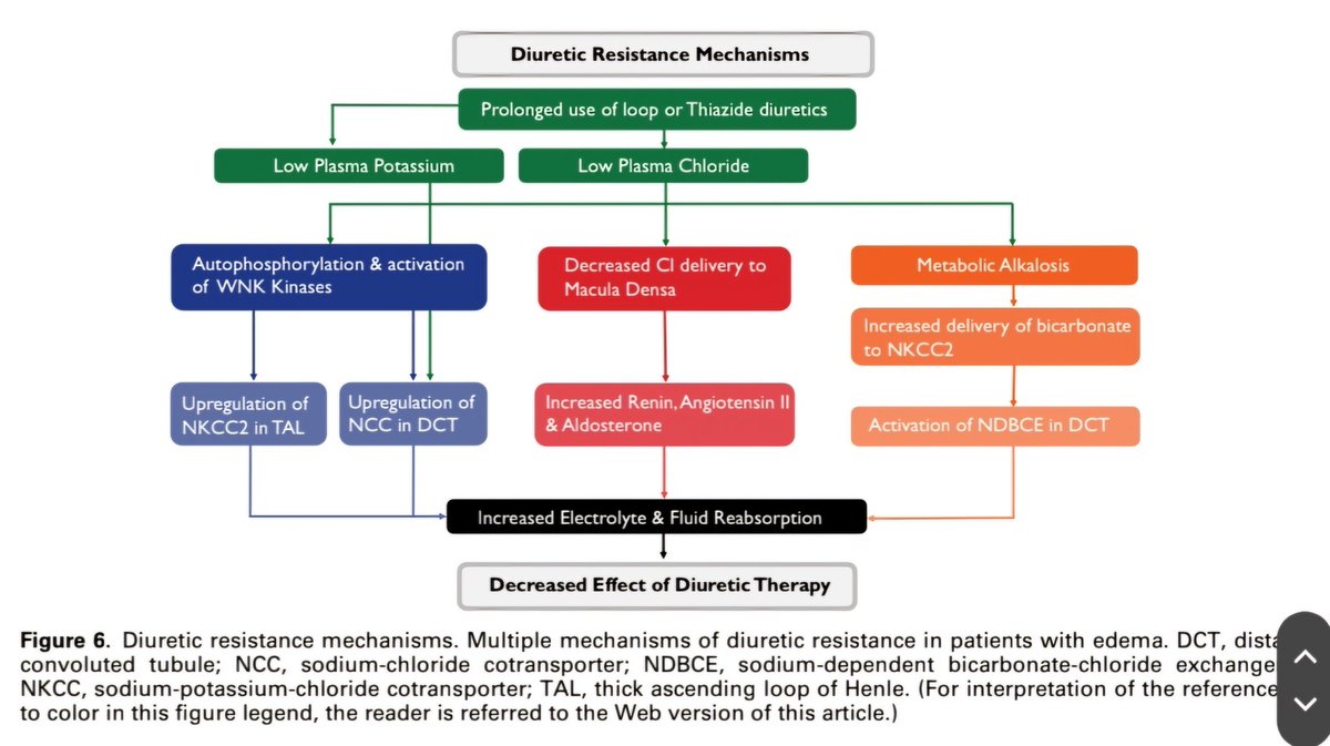 🔴 Etiology and Management of Edema: A #2023Review

sciencedirect.com/science/articl…
 #cardiology #clinical #MedEd #CardioEd #medtwitter #CardioTwitter #MedTwitter #FOAMed #MedEd #cardiology #CardioTwitter #medtwitter #FOAMed #cardiotwiteros