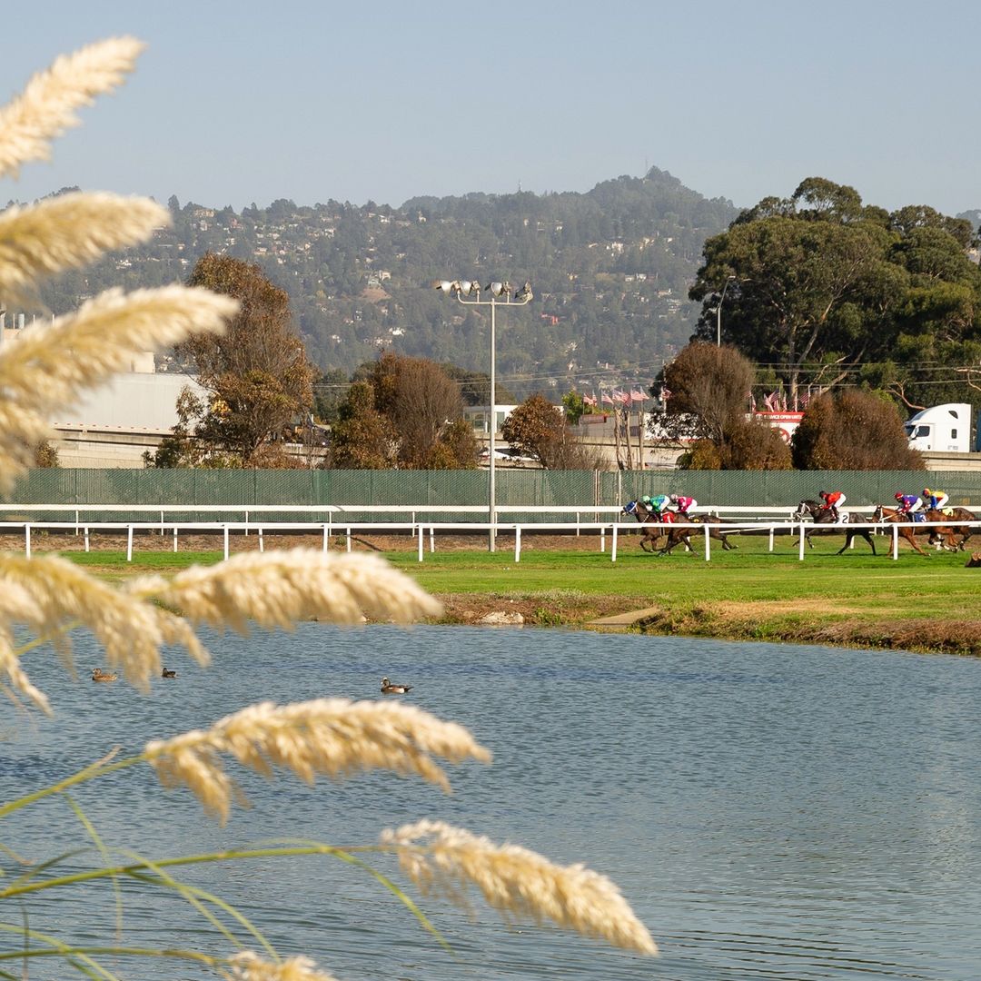 Riding off into the weekend. Who's joining us today? #GoldenGateFields