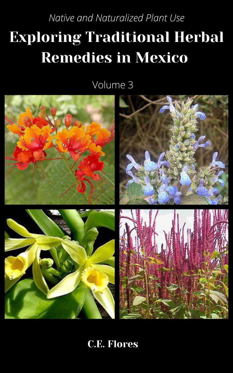 Discover the rich world of Mexican herbalism with 'Exploring Traditional Herbal Remedies in Mexico Volume 3: Native and Naturalized Plant Use'. 🌱 Learn about natural remedies for common ailments in Mexico. #Herbalism #Mexico #NaturalHealing.
Link: buff.ly/3uGDXUn 📘