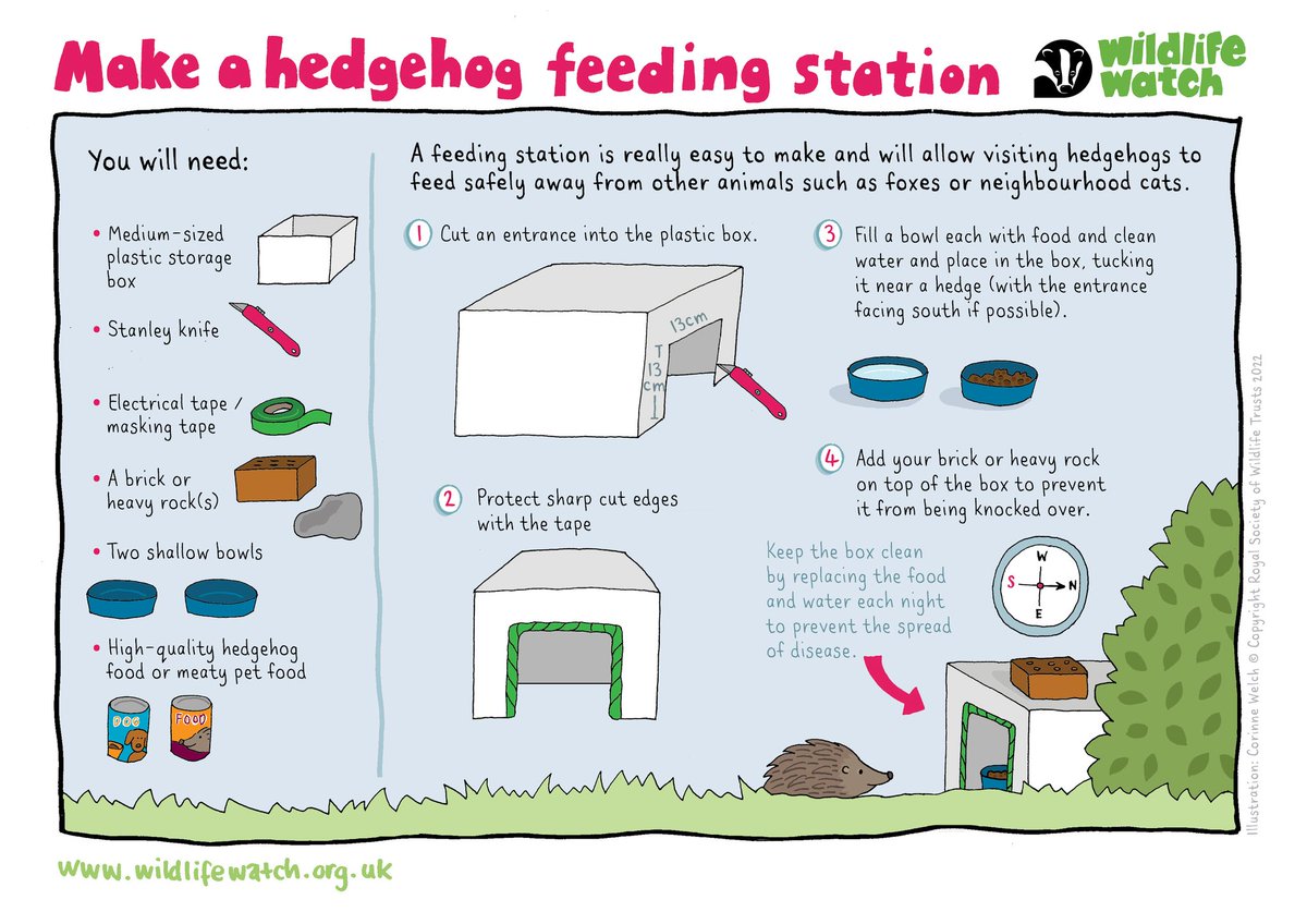 Putting out a bit of food can really help mammals like hedgehogs. Why not make a feeding station? 🦔 wildlifetrusts.org/actions/what-f…