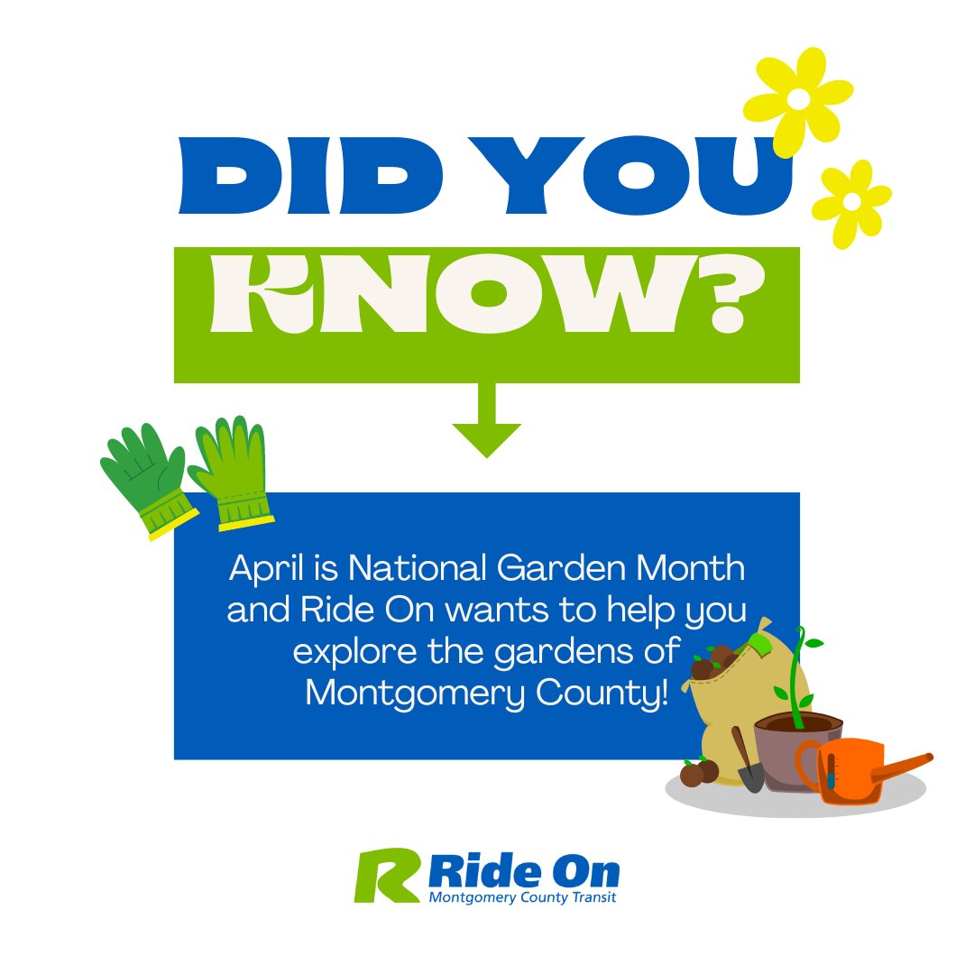 Take a ride and smell the roses! 🌹 April is #NationalGardenMonth and Ride On buses are your green-friendly transportation option to visit the county’s beautiful gardens. Hop on board and explore some of the greenery. 🌱🚌 #RideOn #RideOnMCT #MCDOTNow #EarthMonth #GreenMobility