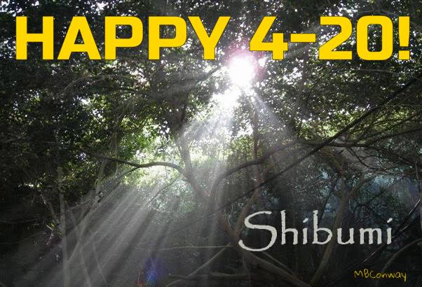 Michael B (@michaelbconway1) on Twitter photo 