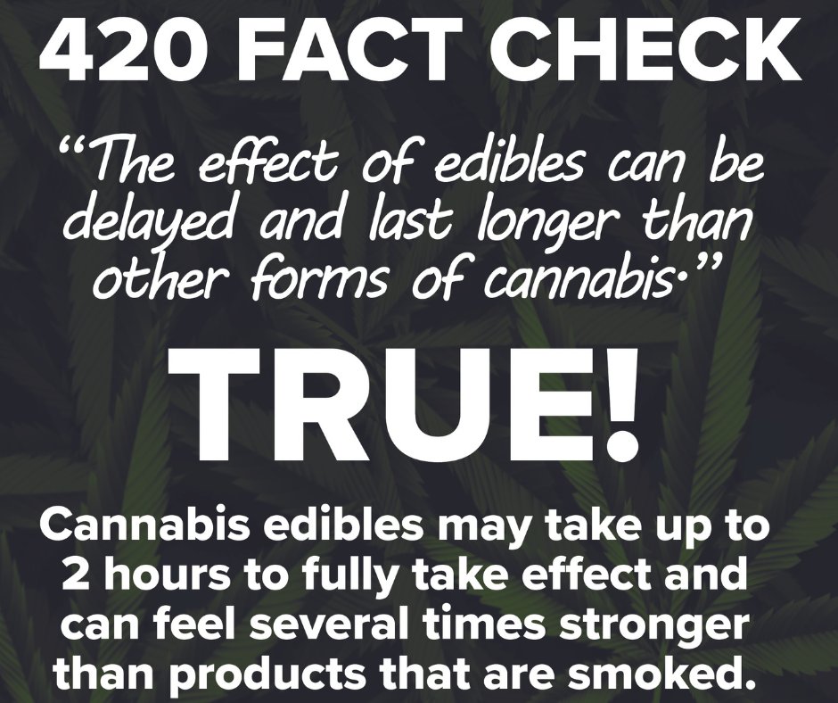 420 FACT CHECK. 'The effect of edibles can be delayed and last longer than other forms of cannabis.' ✔ TRUE! Want to know more? Get the facts ➡ oasas.ny.gov/cannabis #CannabisAwarenessMonth