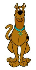 Tom Hostler tweet media