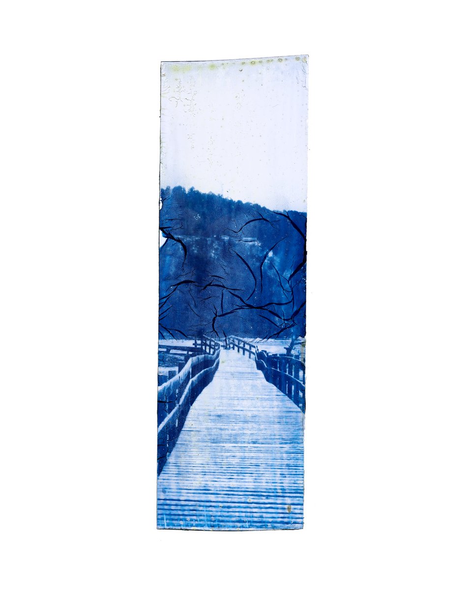 deletedimage's tweet image. I’ve been really busy lately but here are some glass cyanotypes I made!