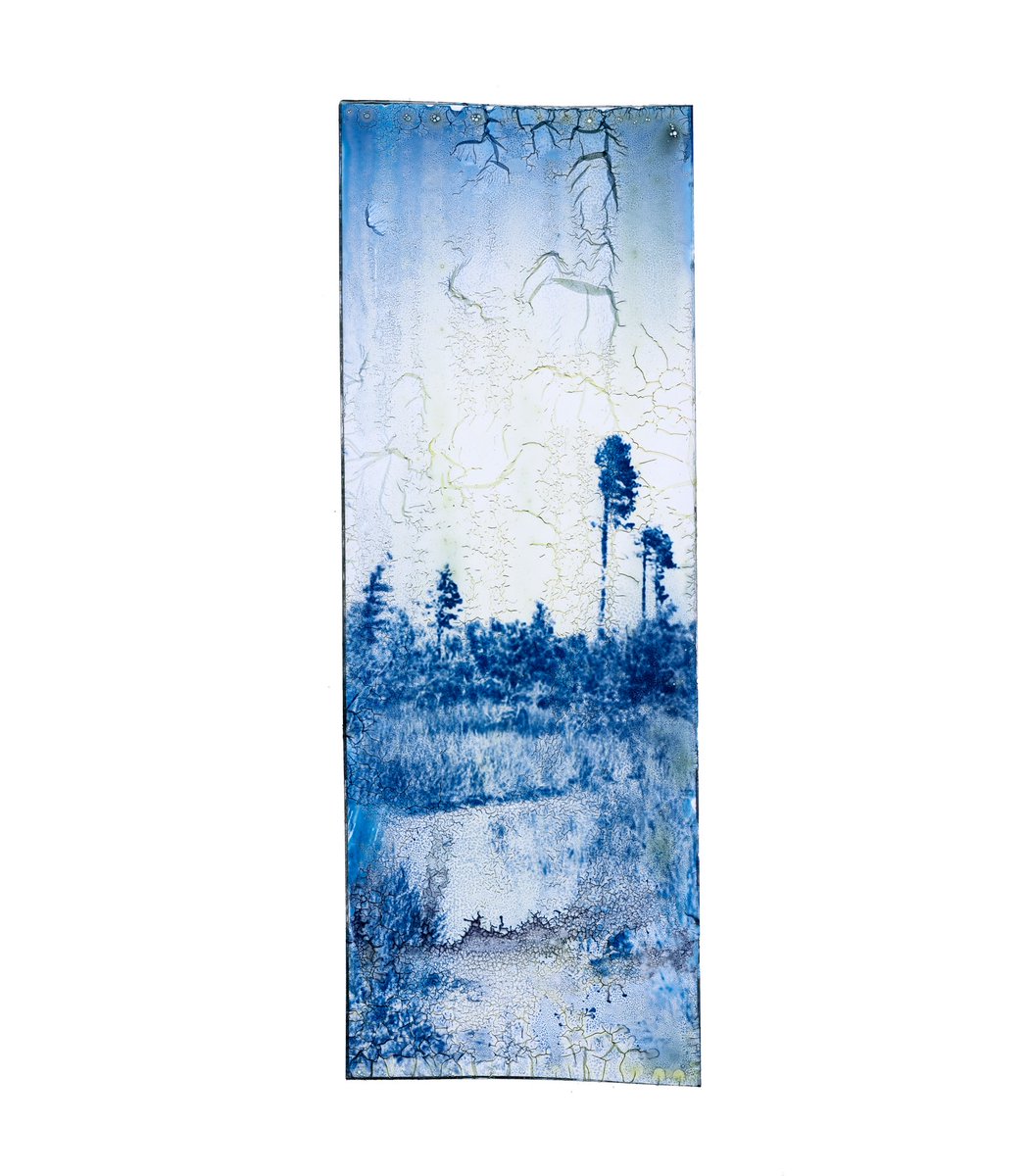 deletedimage's tweet image. I’ve been really busy lately but here are some glass cyanotypes I made!