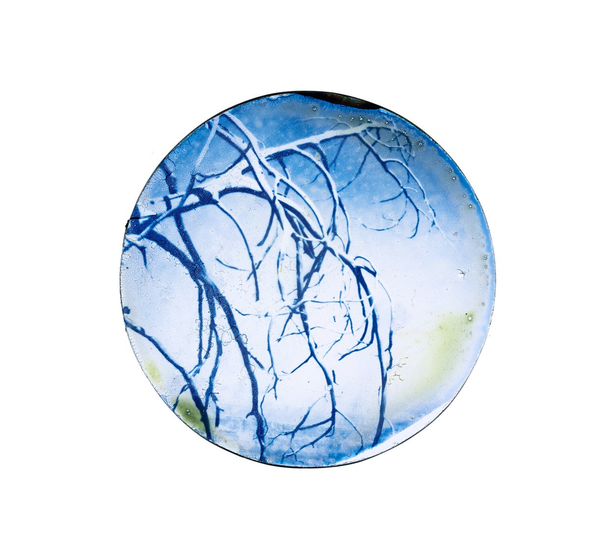 I’ve been really busy lately but here are some glass cyanotypes I made!