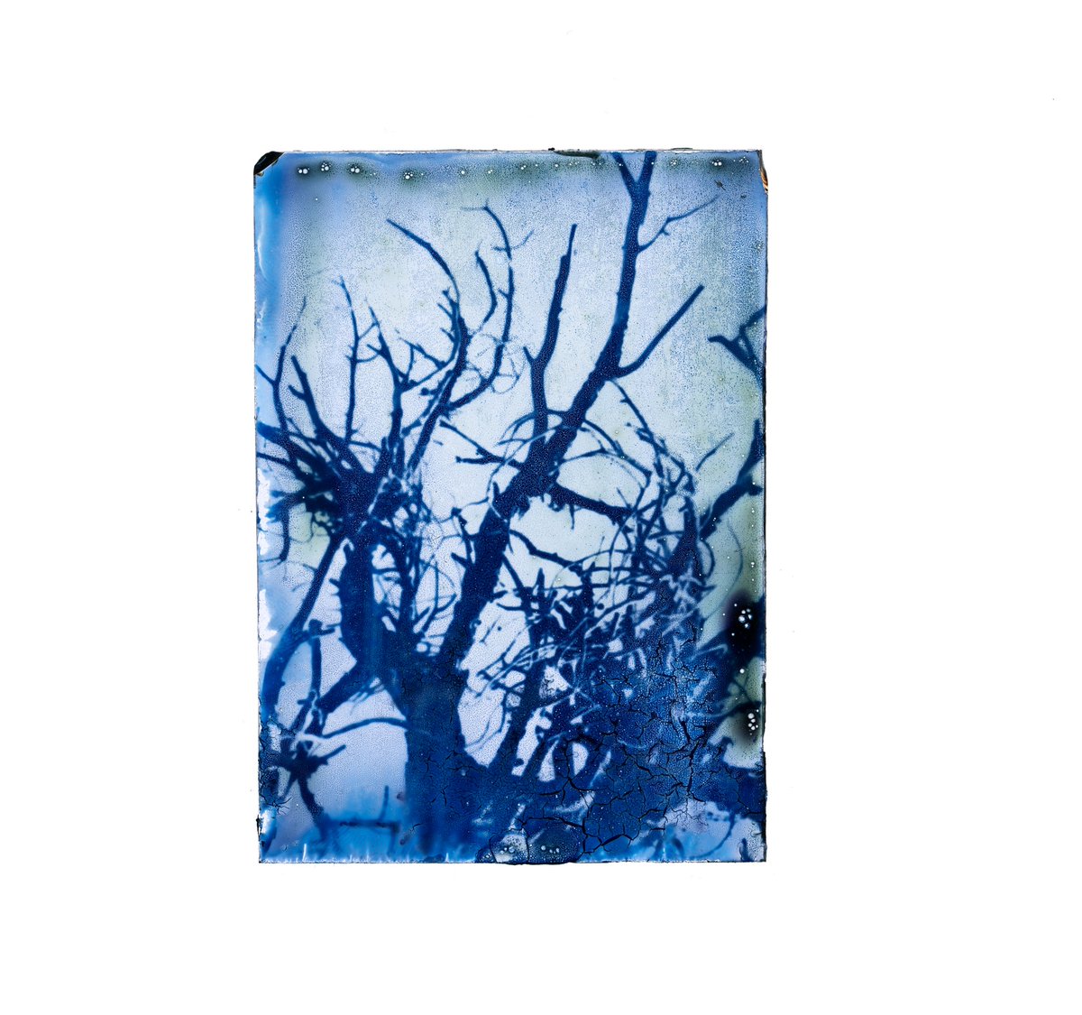 deletedimage's tweet image. I’ve been really busy lately but here are some glass cyanotypes I made!