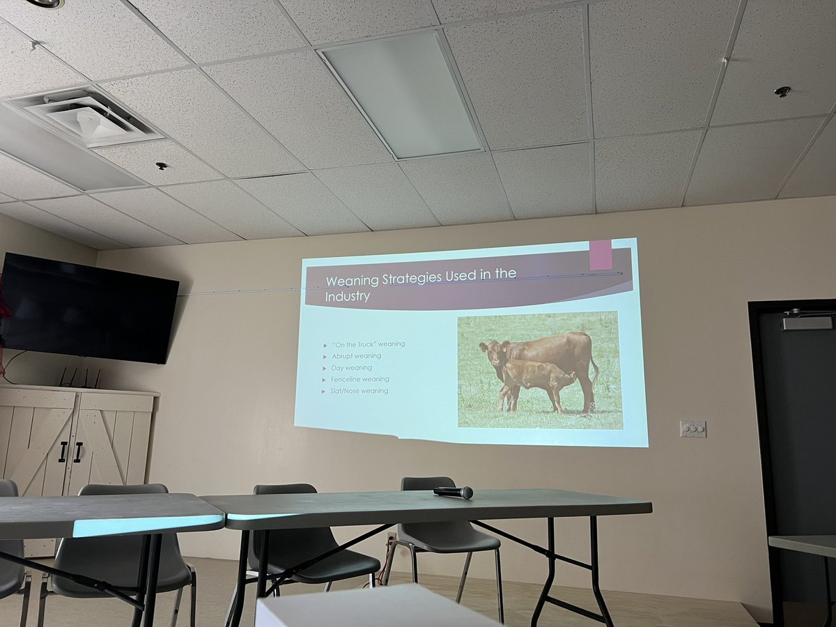 Beef Farmers of Temiskaming (@temiskamingbeef) on Twitter photo Starting the afternoon of Beef Info Day with some post-weaning tips from Dr. Crystal Throop!
<a href="/BeefFarmersON/">Beef Farmers of Ontario</a> <a href="/BeefCochrane/">Beef Farmers Of Cochrane District</a> Starting the afternoon of Beef Info Day with some post-weaning tips from Dr. Crystal Throop!
<a href="/BeefFarmersON/">Beef Farmers of Ontario</a> <a href="/BeefCochrane/">Beef Farmers Of Cochrane District</a>