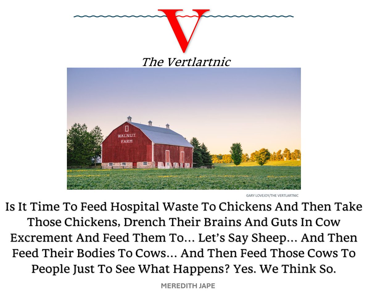 Is It Time To Feed Hospital Waste To Chickens And Then Take Those Chickens, Drench Their Brains And Guts In Cow Excrement And Feed Them To… Let’s Say Sheep… And Then Feed Their Bodies To Cows… And Then Feed Those Cows To People Just To See What Happens? Yes. We Think So.
