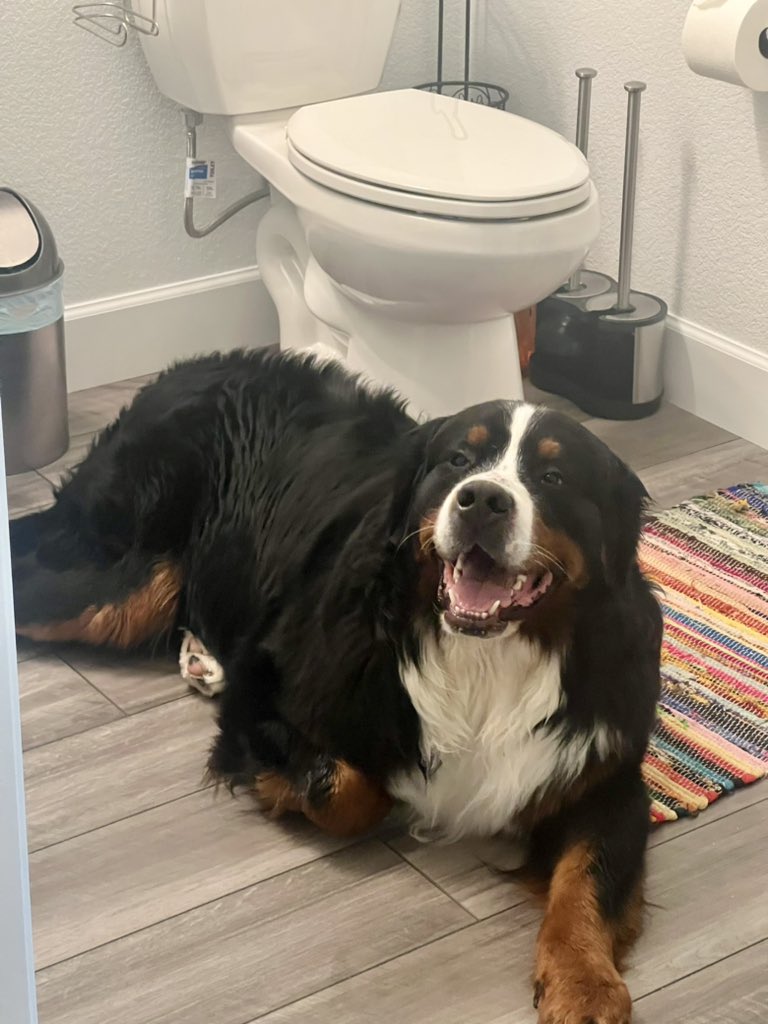 RussianBerner tweet picture