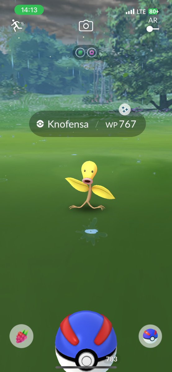 Madmar1976's tweet image. Shundo Bellsprout👌🫡
The first check was Shundo🔥🔥🔥
I am very happy with new Shundo👌😊
@PokemonGoApp 
@PokemonGOdeu 
#Bellsprout