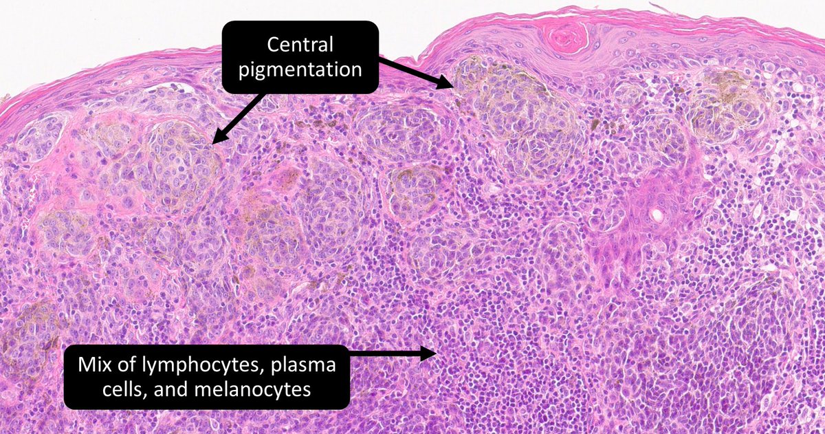 DrCycloPath tweet picture