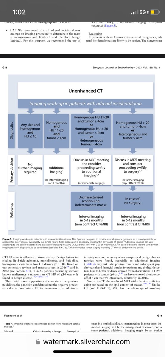 @F_ThurstonDrake discussing 
European Society of Endocrinology clinical practice guidelines on the management of #adrenal incidentalomas

Upshot: Pay close attention to precontrast density on CT. #AAES2024 

@ESEndocrinology @OUPAcademic 

academic.oup.com/ejendo/article…