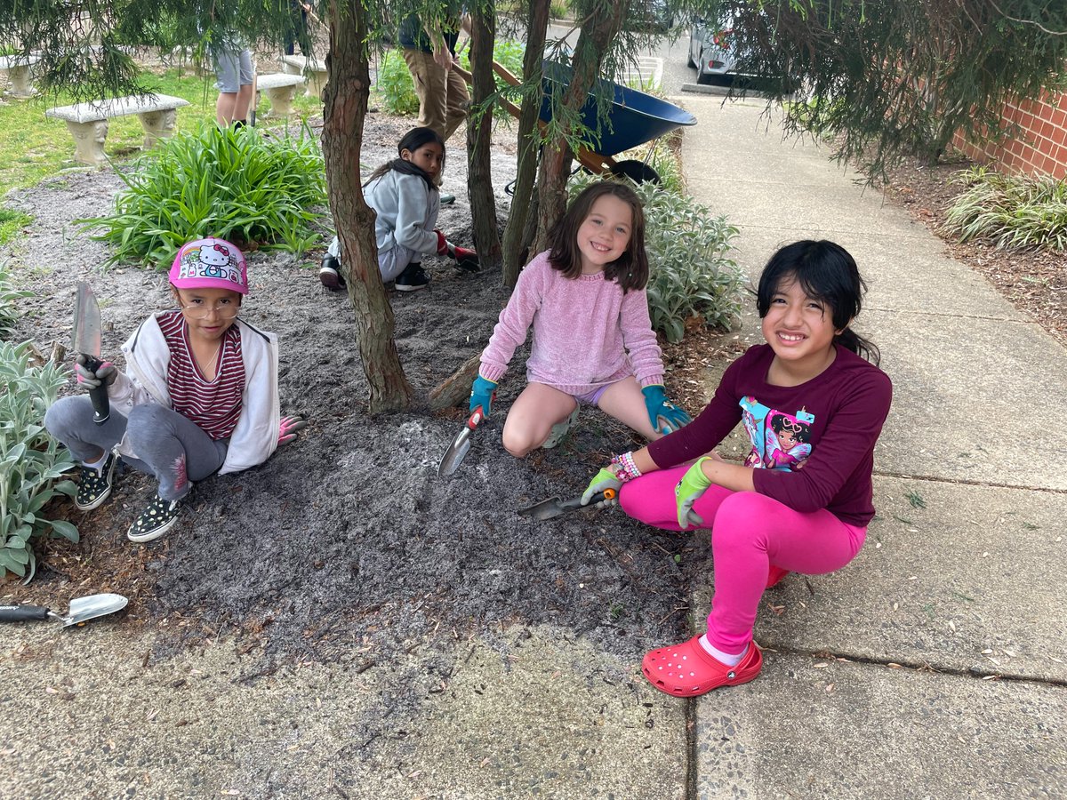 ¡Nuestro día de jardinería de primavera fue maravilloso! Fue fabuloso que las familias vinieran a embellecer nuestra escuela y celebrar a la increíble Jackie García con un árbol plantado en su honor. @RandolphIBStars #APSgreen