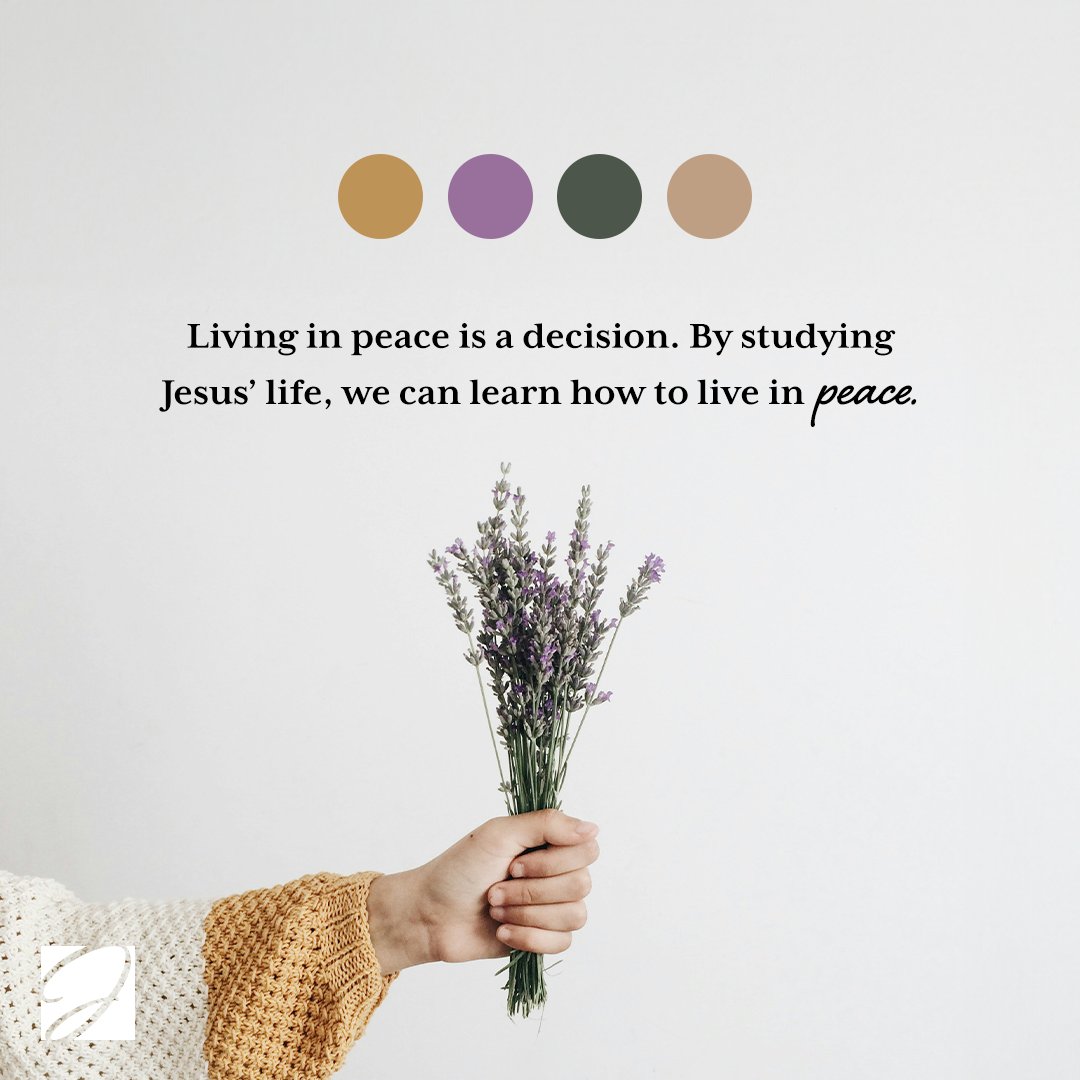 JoyceMeyer's tweet photo. First Peter 3:11 says that we “must seek peace
and pursue it” (NIV). This scripture helped me to realize I couldn’t simply wish for peace or pray for peace; I had to pursue it. 

For more check out Joyce's newest book, Finding God's Will For Your Life at https://t.co/fgvPOTUpjo https://t.co/lUnoWjrok2