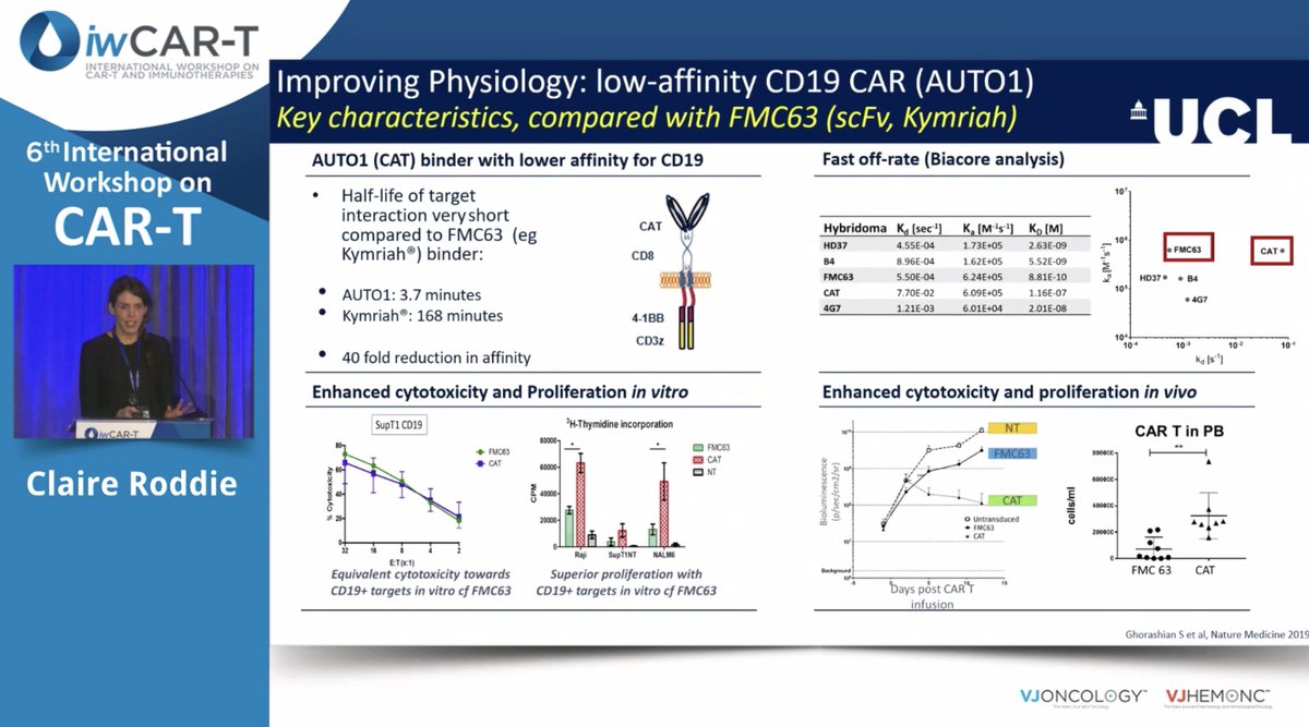 VJHemOnc's tweet photo. #iwCART24 | @drclaireroddie (@uclcancer) provides updates and future directions on Obe-cel. Stay informed about the latest advances in #ALL therapy! 

#iwCART24 @VJHemOnc #iwCART #CART #CellularTherapies https://t.co/UQiwdJs7zn