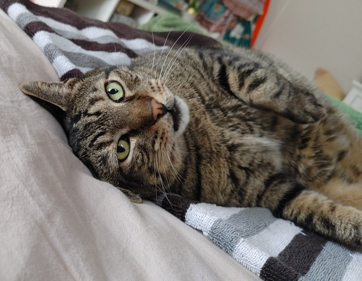 TheRealThelmaJohnson tweet media