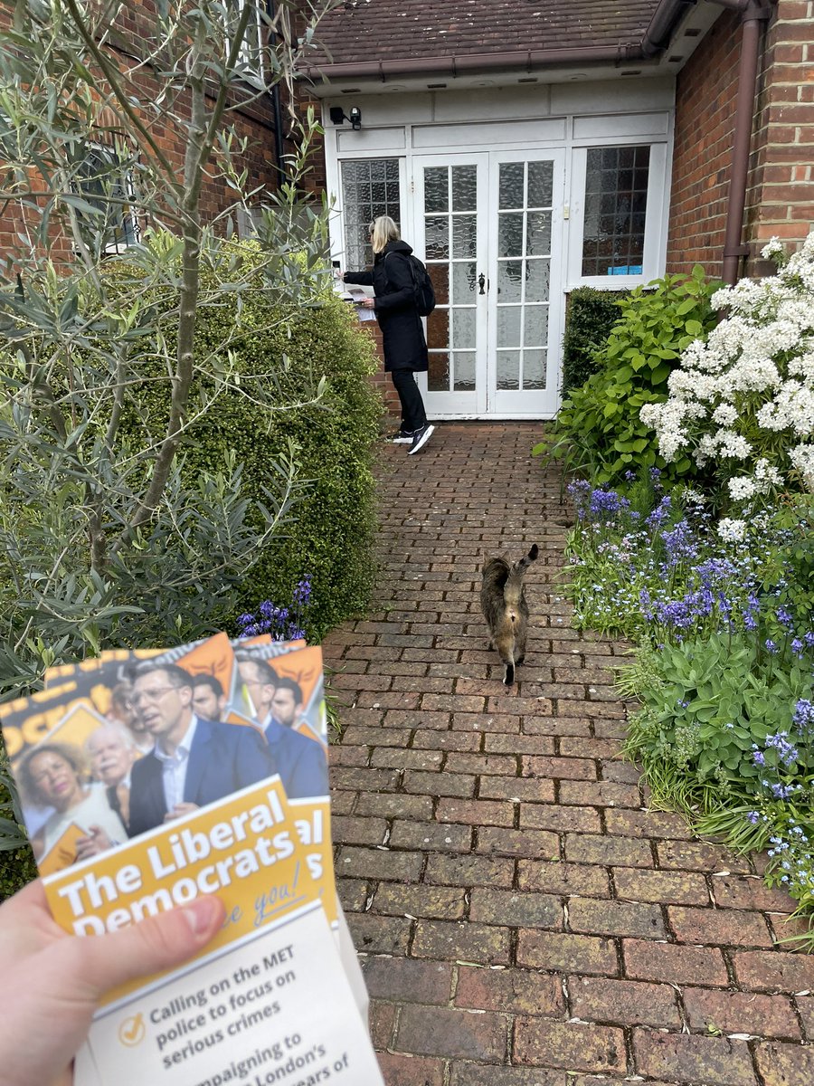 Ulysse 🔶 tweet media