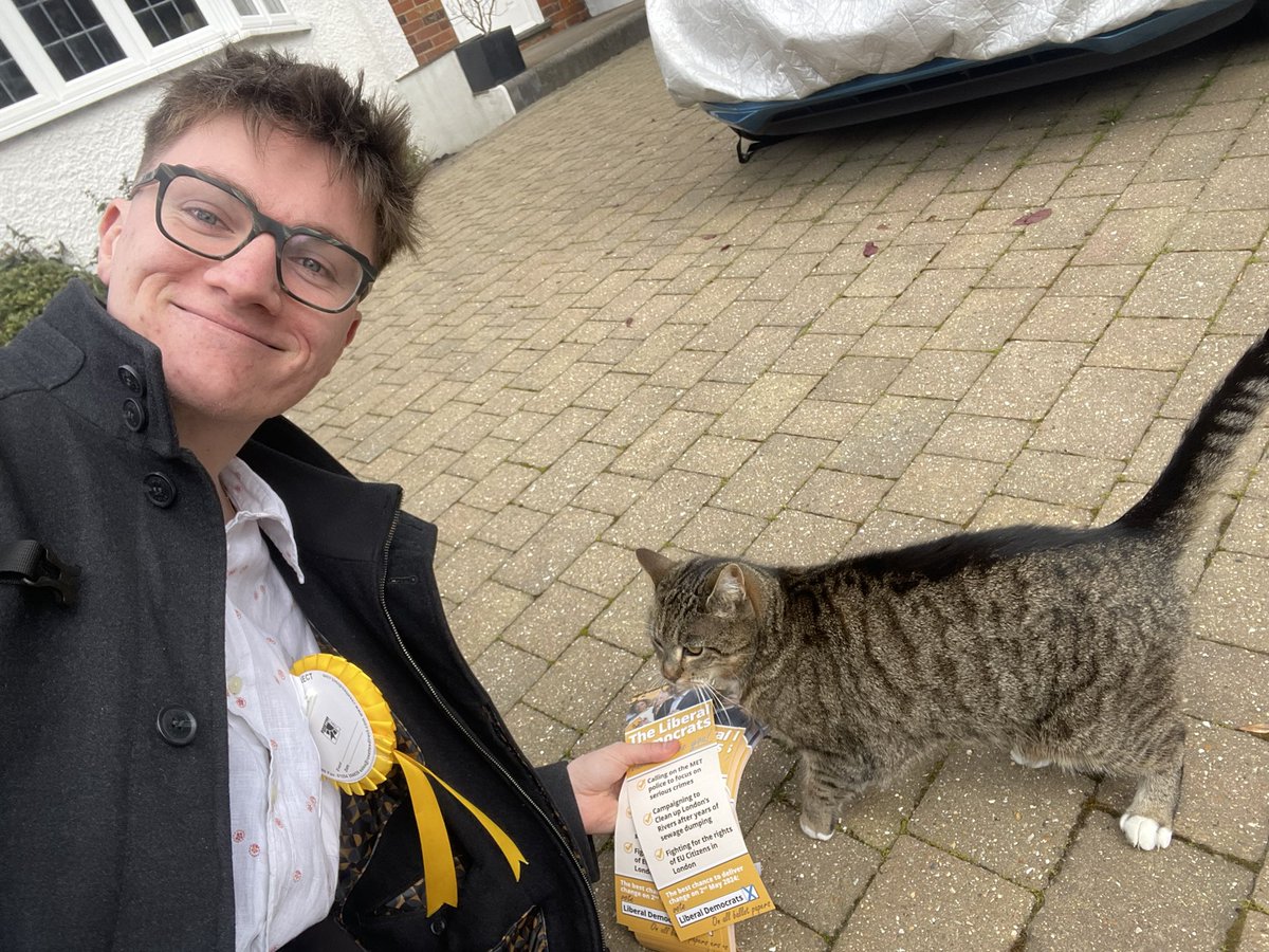 Ulysse 🔶 tweet media