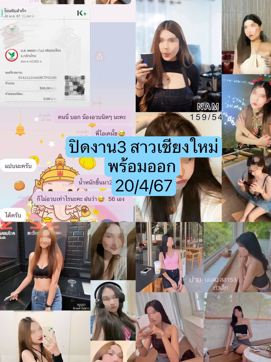ployfonmdl's tweet photo. พร้อมออก🔥🔥🔥  3สาว เชียงใหม่
ปิดงาน พร้อมออก❌ 

#เด็กNเชียงใหม่ #เด็กNกรุงเทพ #เด็กNปทุม รังสิต ดอนเมือง อยุธยา 
นครนายก ทุกพื้นที่ในกรุงเทพ  ทักมาสอบถามเรทก่อนได้คะ https://t.co/olnzdNVWcQ