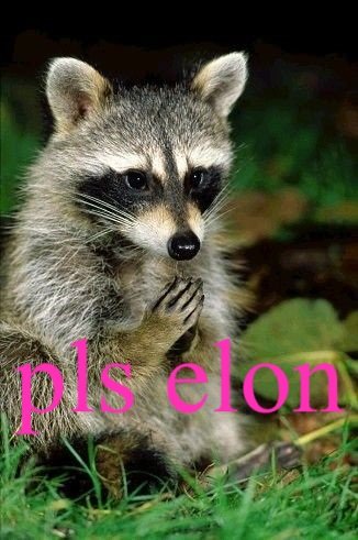 NanoDeath tweet media