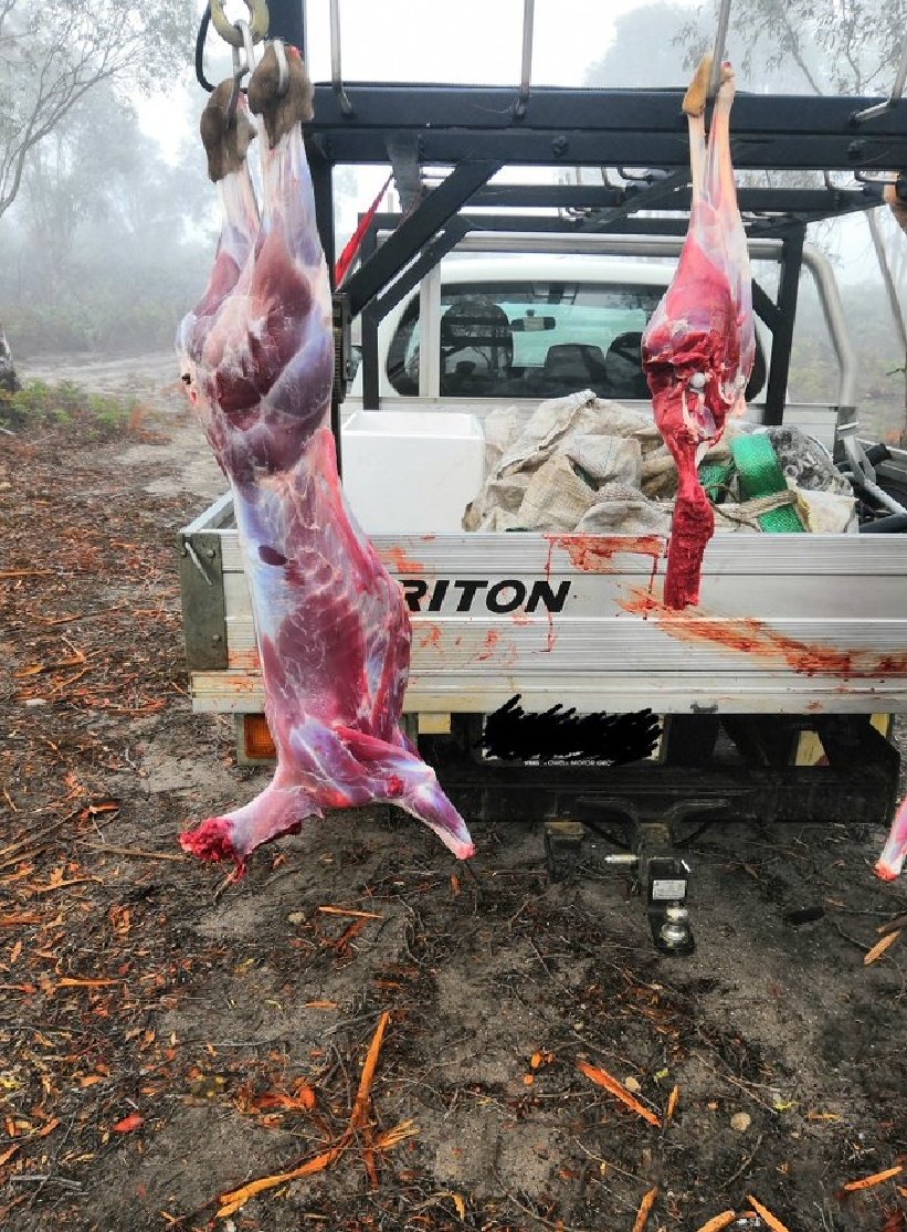 Stopped Clock Ⓥ tweet media