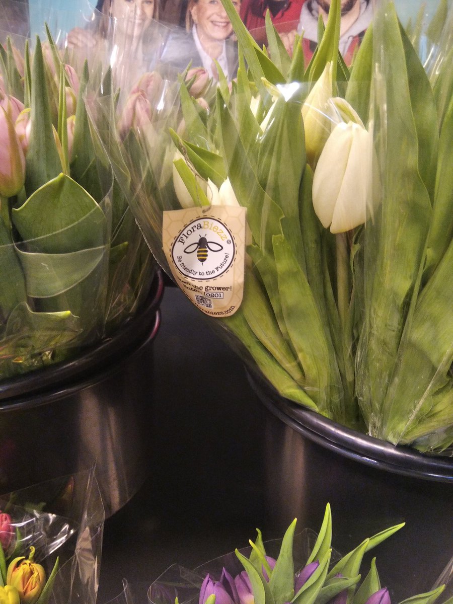 PapiMorgane's tweet image. 