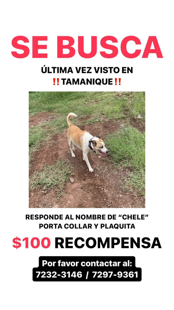 #ServicioSocial #extraviado