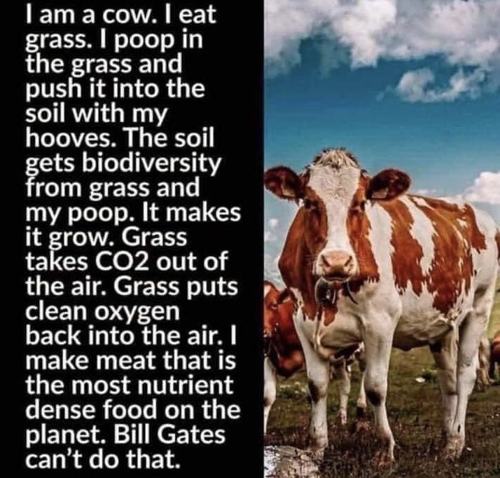 Time for cow talk from a country girl. 🖕 Bill Gates.