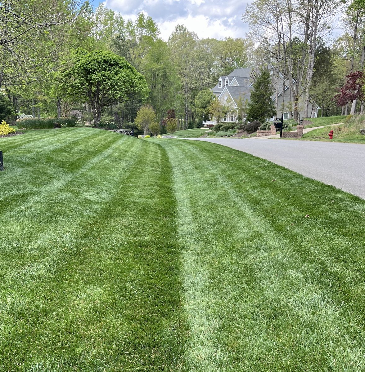 David L Smith tweet media