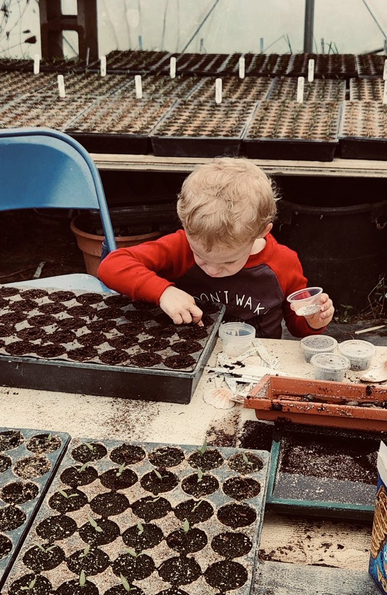 Katie Blair tweet media