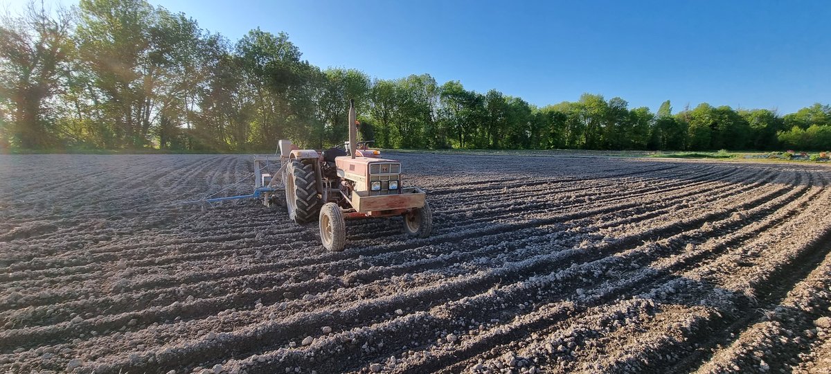 🌽🙂 j'ai profité pour finir 4 champs
Celui semer quelques mètres +loin galope 
Le sol porte depuis quelques jours
Bon reste un marais ou l'eau ne part pas vite
#babycorn #CornLovers #agriculture #FrAgTw #semis2024
#corn