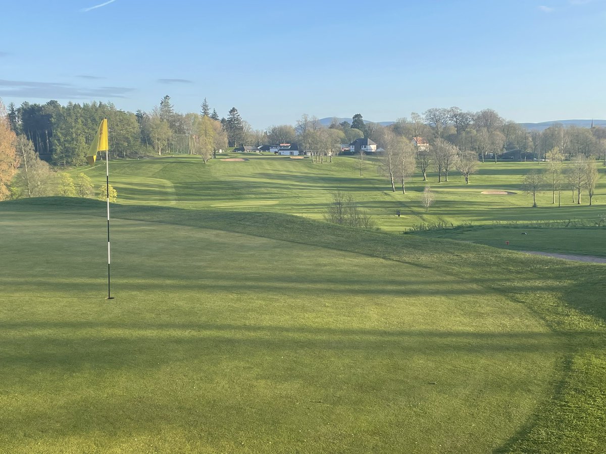 Paul Laurie tweet media