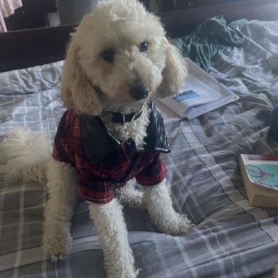 chessi9's tweet photo. #NewProfilePic https://t.co/hEoxsABube