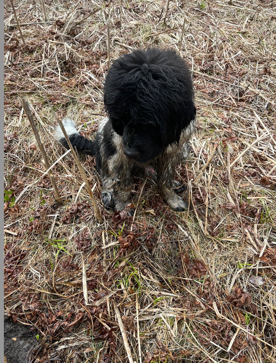 We came, we saw, we planted. And some of us got muddy.