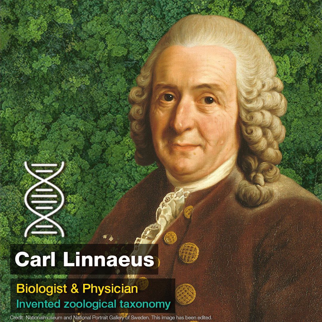 Swedish zoologist Carl Linnaeus is best known for inventing the system of binomial nomenclature: the modern system of naming organisms. His standardization of taxonomy helped scientists to categorize plants and animals consistently.