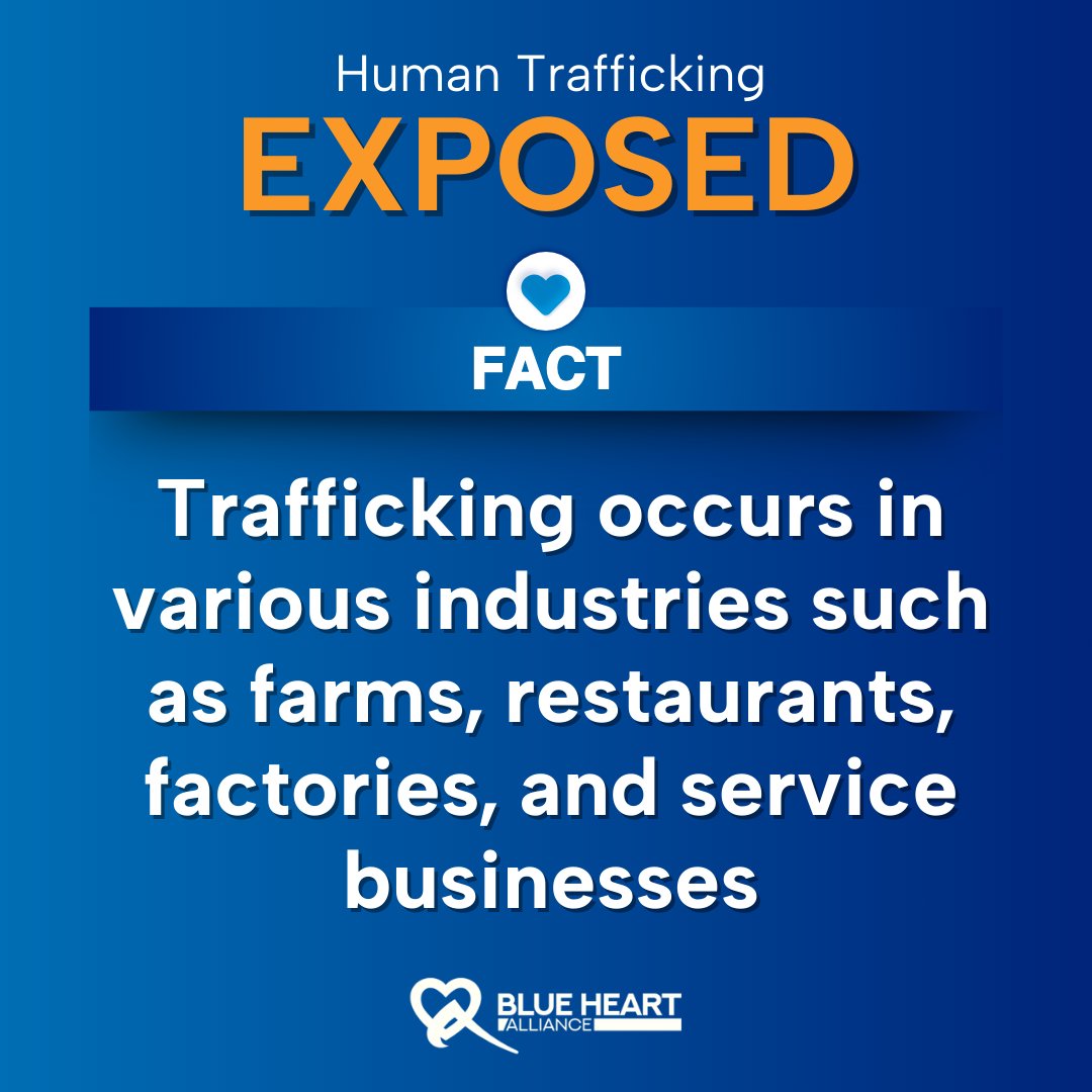 BlueHrtAlliance's tweet photo. Let's break the chains of misconception by shedding light on the truth about #humantrafficking. Together we can empower others to recognize the signs, understand the complexities, and advocate for survivors. Join us @BlueHeartAlliance in dispelling misconceptions. https://t.co/uAUYsJkN0u