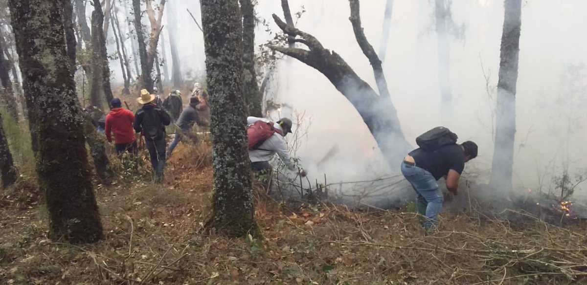 Reportan 75% de control en incendio forestal de San Andrés Huayapam El Gobierno de Oaxaca a través de la @COESFO_GobOax reporta el avance de 75 por ciento en el control y 50 por ciento en trabajos de liquidación del incendio forestal suscitado en el paraje Palo Sapo