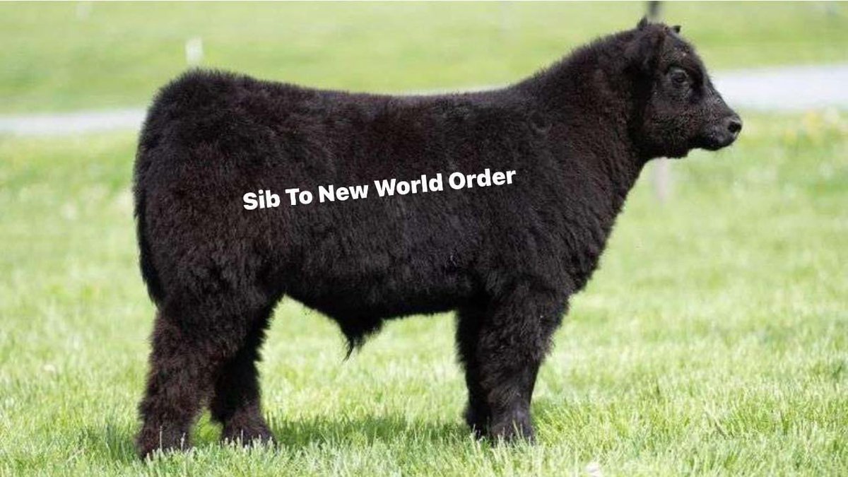 mattlautner tweet picture