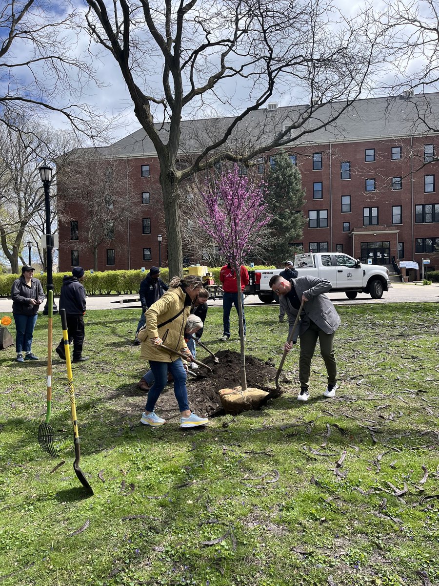 EvanstonPublicWorks tweet media