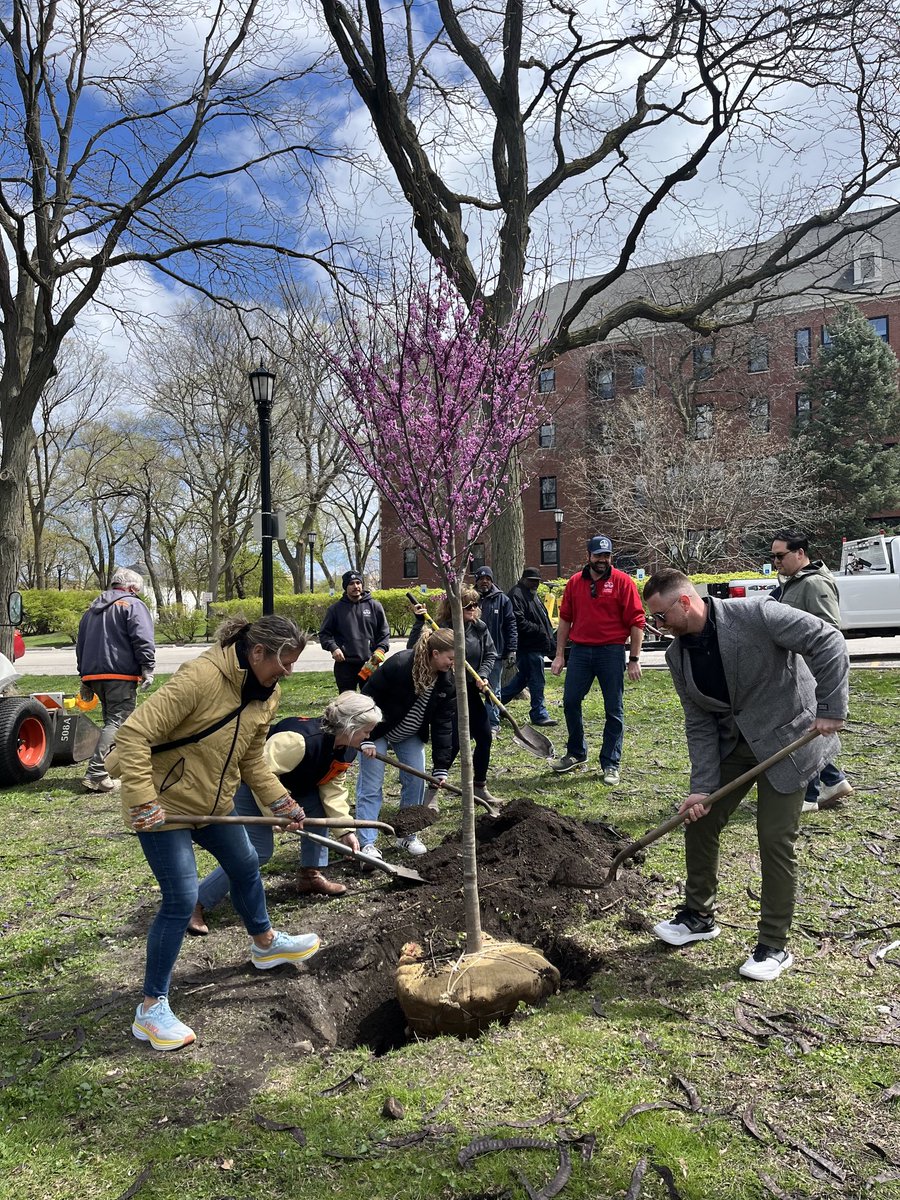 EvanstonPublicWorks tweet media