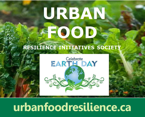 Celebrate #EarthDay2024! Plant some #veggies for your autumn pantry, some flowers for the summer #bees, or a small #tree for planet Earth. Taking care of nature will help us all take care of ourselves. There is no Planet B (so far as we know)! #localfood #VancouverIsland