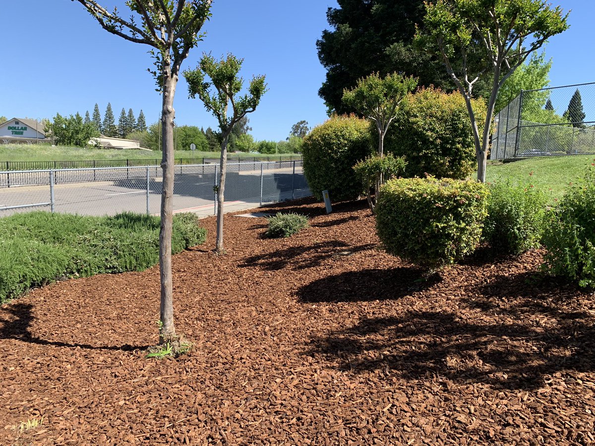 Rocklin High tweet media