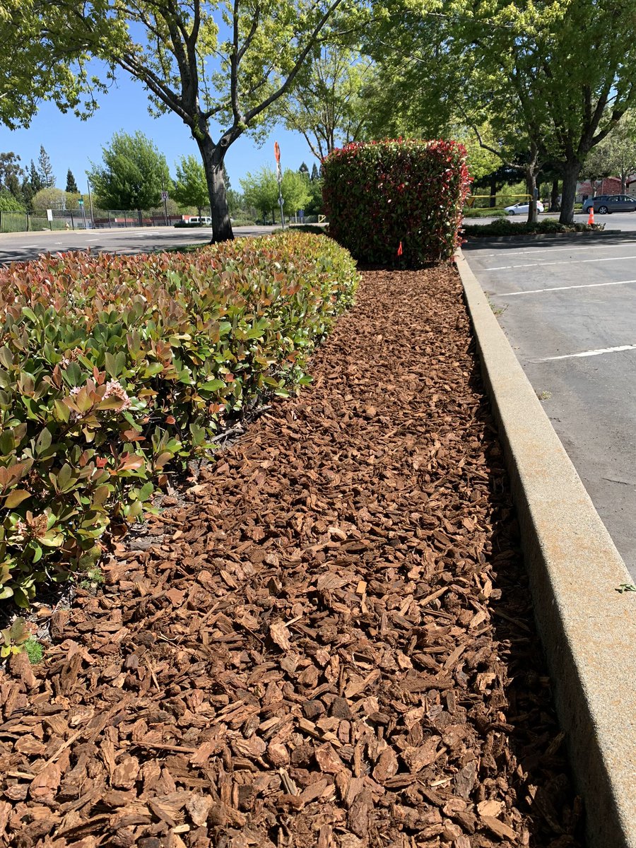 Rocklin High tweet media